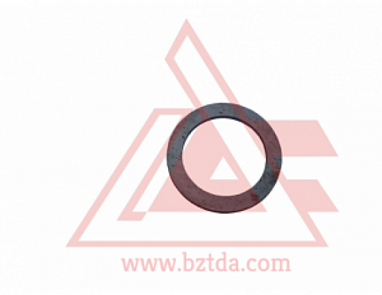 22346-shayba-74-1701026_0