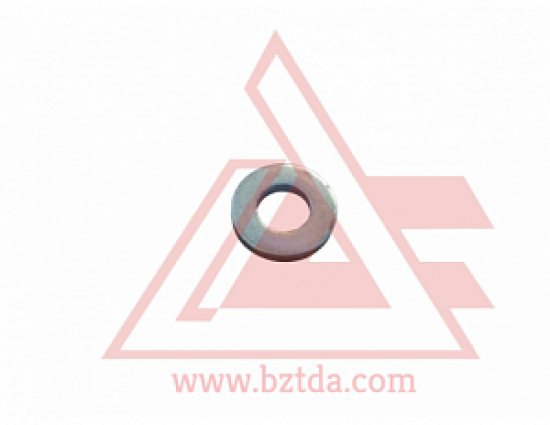 22407-shayba-52-2301065_0