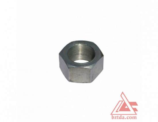 22449-gayka-50-3405053_0