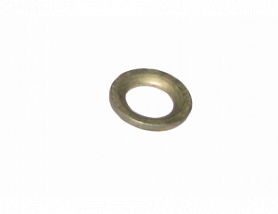 22458-shayba-50-3406041_0