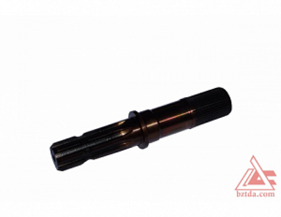 22554-hvostovik-2022-4202016_0