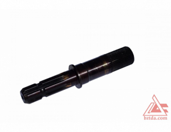 22555-hvostovik-2022-4202016-01_0