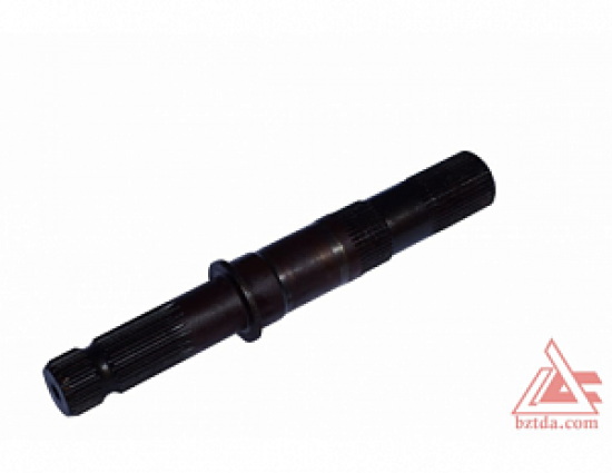 22558-hvostovik-2022-4202017-02_0