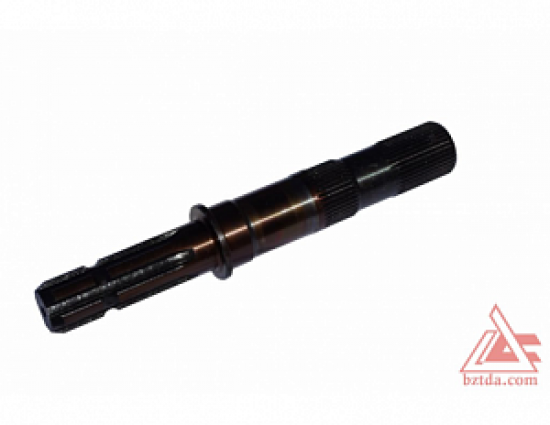 22559-hvostovik-2022-4202017-03_0